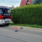 Fotka nr 1 z 7