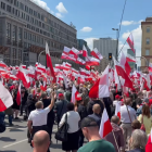 zdjęcie nr 12