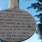 Fotka nr 3 z 11