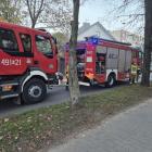 Fotka nr 5 z 8