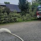 zdjęcie nr 7