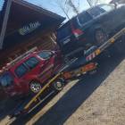 Fotka nr 2 z 4
