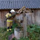 Fotka nr 3 z 12