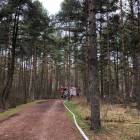 zdjęcie nr 31