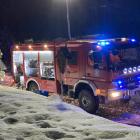 Fotka nr 3 z 11