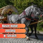 Fotka nr 5 z 6