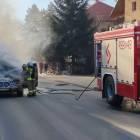 Fotka nr 1 z 15