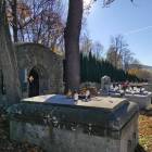 zdjęcie nr 8