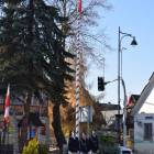 zdjęcie nr 7