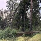 zdjęcie nr 9