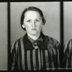 Fotka nr 2 z 81