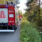Fotka nr 3 z 13