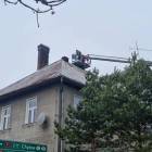 Fotka nr 1 z 8