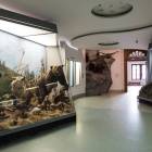 Przed remontem - fot. Michał Zieliński / Muzeum Tatrzańskie