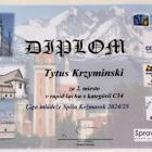zdjęcie nr 31