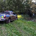 Fotka nr 1 z 4
