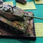 Fotka nr 3 z 21