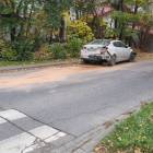 zdjęcie nr 8