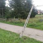 Fotka nr 5 z 11