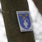 zdjęcie nr 42