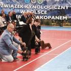 zdjęcie nr 17