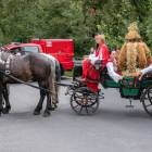 zdjęcie nr 19