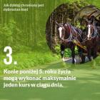 Fotka nr 2 z 12