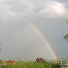 zdjęcie nr 8