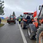 zdjęcie nr 15