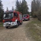 Fotka nr 1 z 3