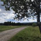 zdjęcie nr 23