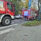 zdjęcie nr 8