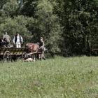 zdjęcie nr 11