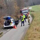 Fotka nr 2 z 12