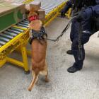 Fotka nr 0 z 17