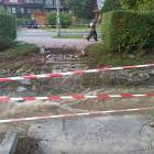 zdjęcie nr 7