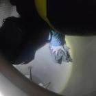 Fotka nr 2 z 6