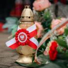 zdjęcie nr 12