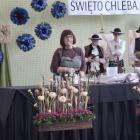 zdjęcie nr 15