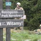 zdjęcie nr 34