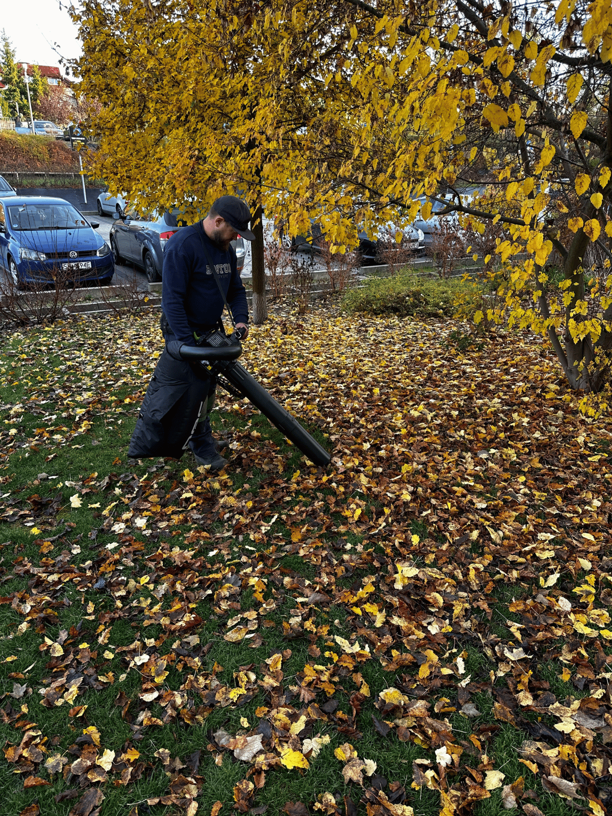 Pracownik firmy Velvet Sprzątanie Lublin odkurza liście z trawnika przy pomocy dmuchawy