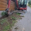zdjęcie nr 