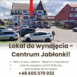 zdjęcie nr 