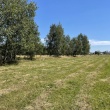 zdjęcie nr 