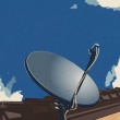zdjęcie nr 