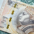 zdjęcie nr 