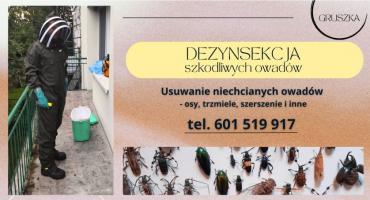 Skuteczne usuwanie owadów na terenie powiatów nowotarskiego i tatrzańskiego