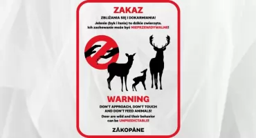 Nie dokarmiaj dzikich zwierząt – to szkodzi im, a nie pomaga