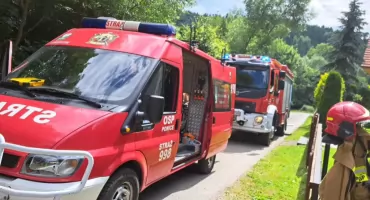 Udana reanimacja 68-latka po zatrzymaniu krążenia podczas prac w lesie