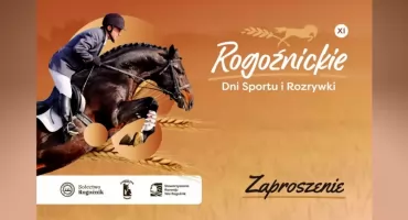 Rogoźnickie Dni Sportu i Rozrywki 2025 – dwa weekendy pełne atrakcji